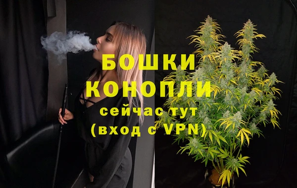 apvp Горняк