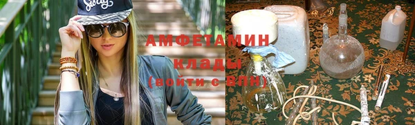 прущие грибы Горно-Алтайск