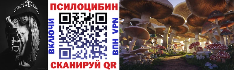 Псилоцибиновые грибы Magic Shrooms  Купить  Дальнереченск 